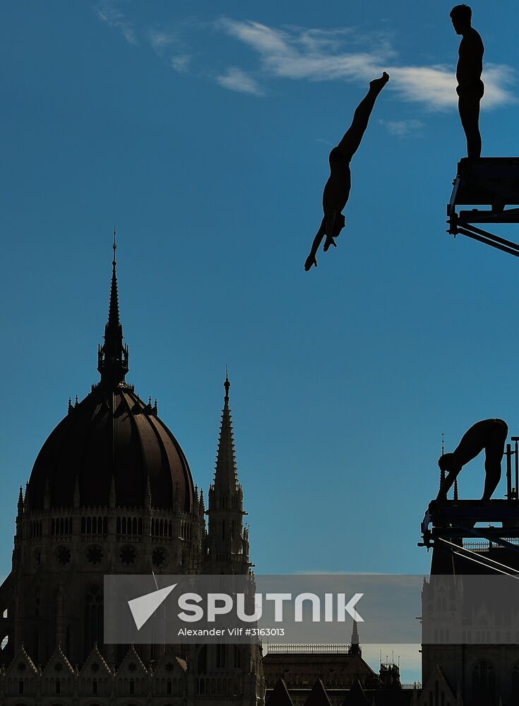 17th FINA World Championships. High diving. Men