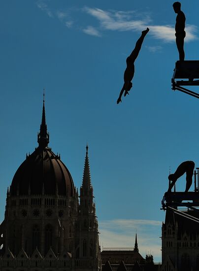 17th FINA World Championships. High diving. Men