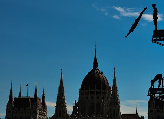 17th FINA World Championships. High diving. Men