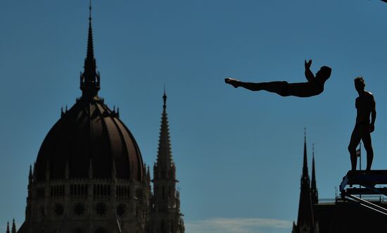 17th FINA World Championships. High diving. Men