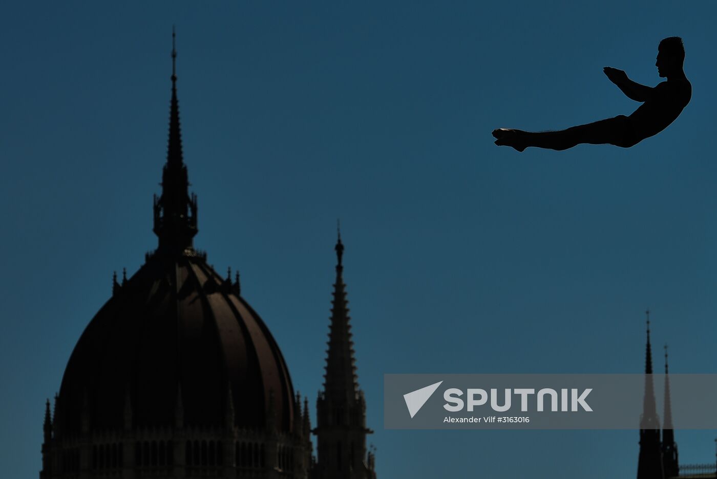 17th FINA World Championships. High diving. Men