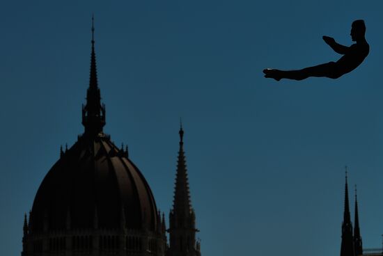 17th FINA World Championships. High diving. Men