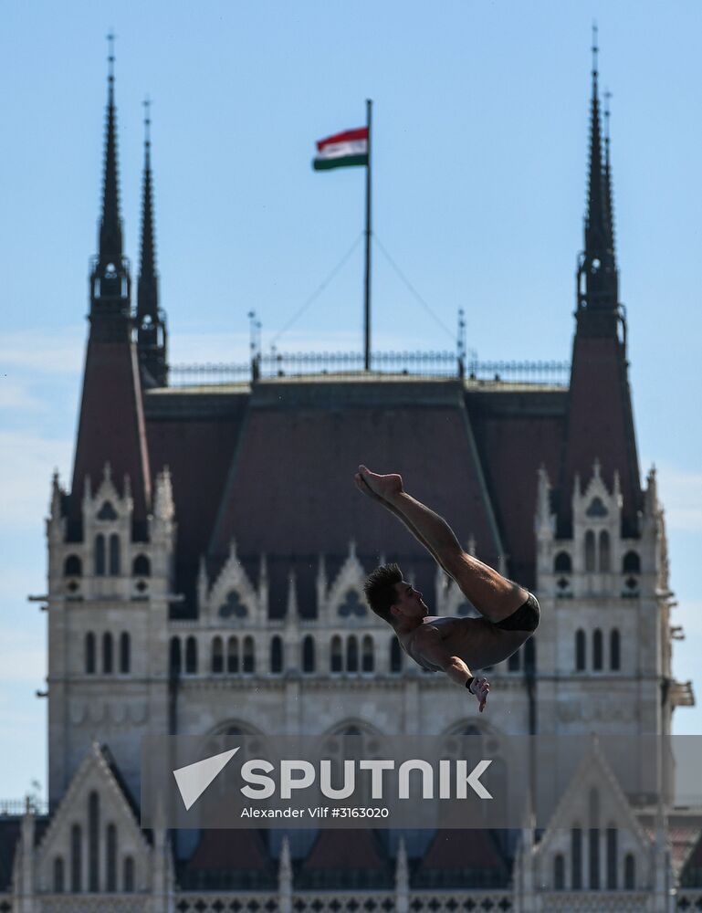 17th FINA World Championships. High diving. Men