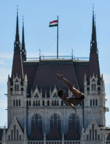 17th FINA World Championships. High diving. Men