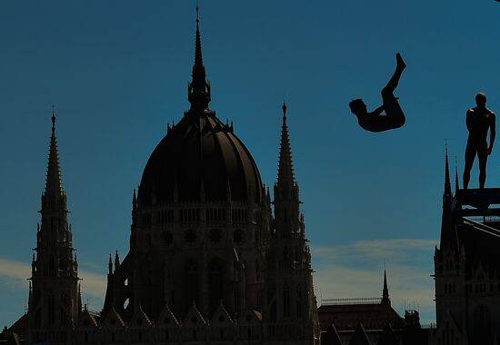 17th FINA World Championships. High diving. Men