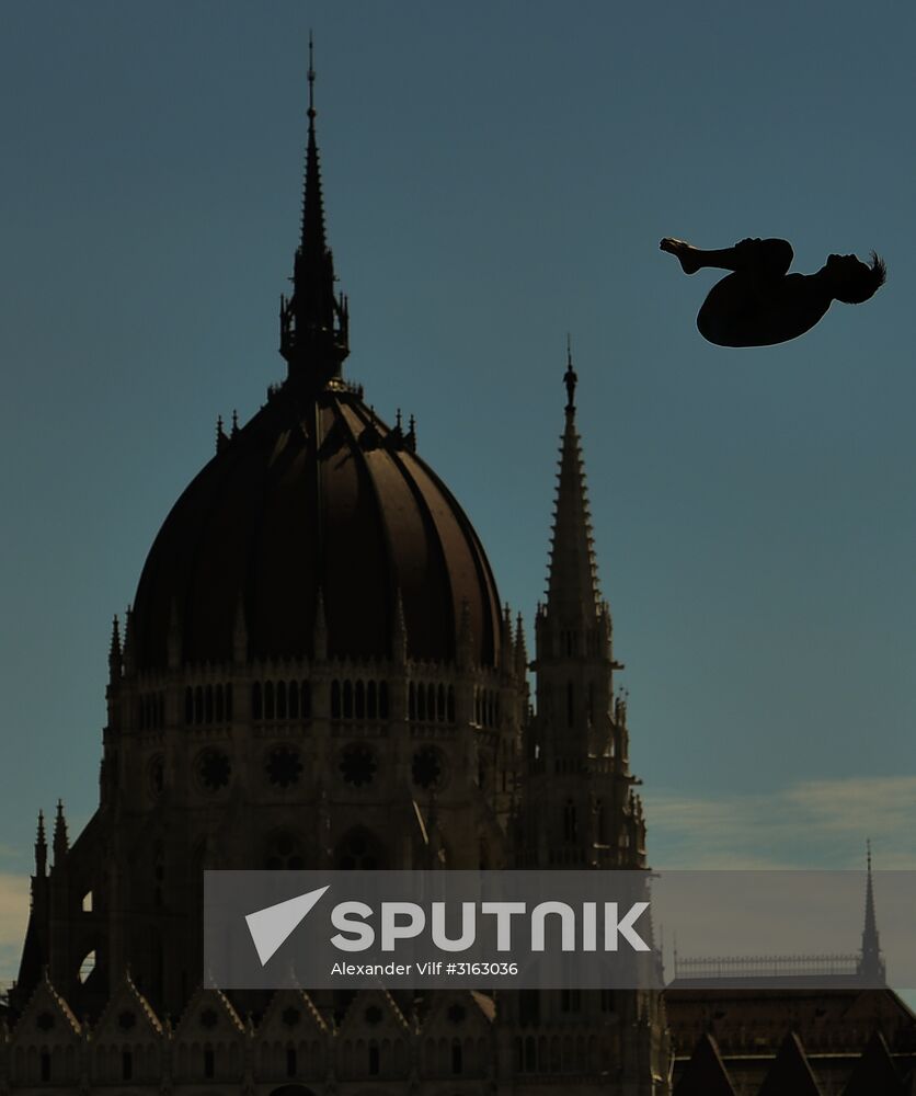17th FINA World Championships. High diving. Men