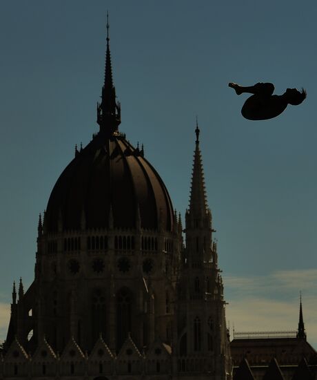 17th FINA World Championships. High diving. Men