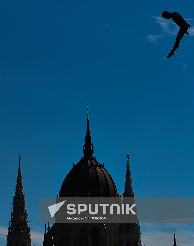 17th FINA World Championships. High diving. Men