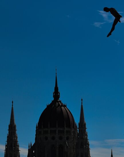17th FINA World Championships. High diving. Men