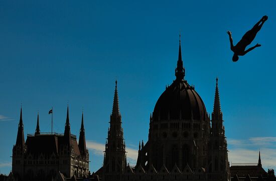 17th FINA World Championships. High diving. Men