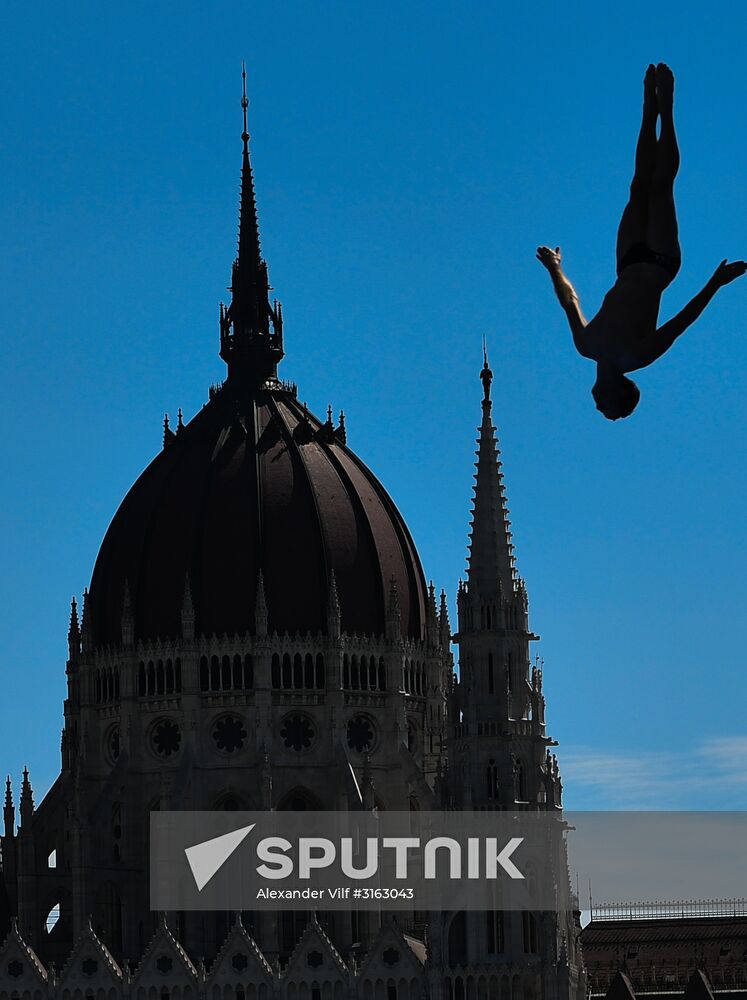 17th FINA World Championships. High diving. Men
