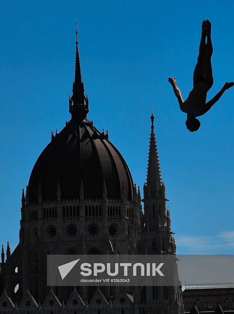 17th FINA World Championships. High diving. Men