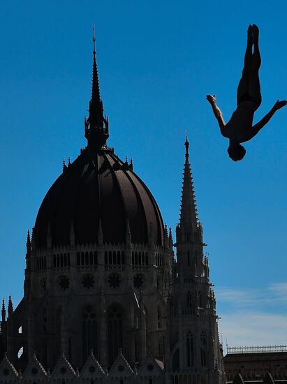 17th FINA World Championships. High diving. Men