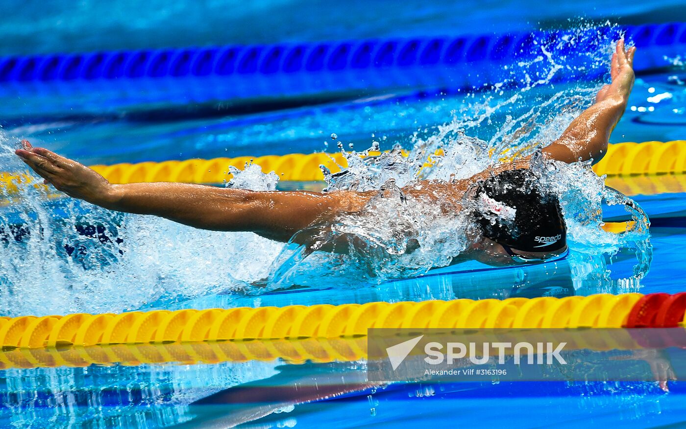 17th FINA World Championships. Swimming. Day eight