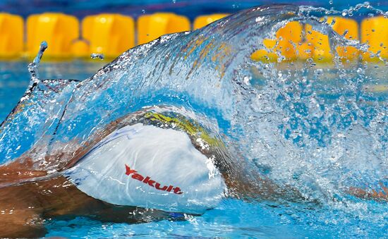 17th FINA World Championships. Swimming. Day eight