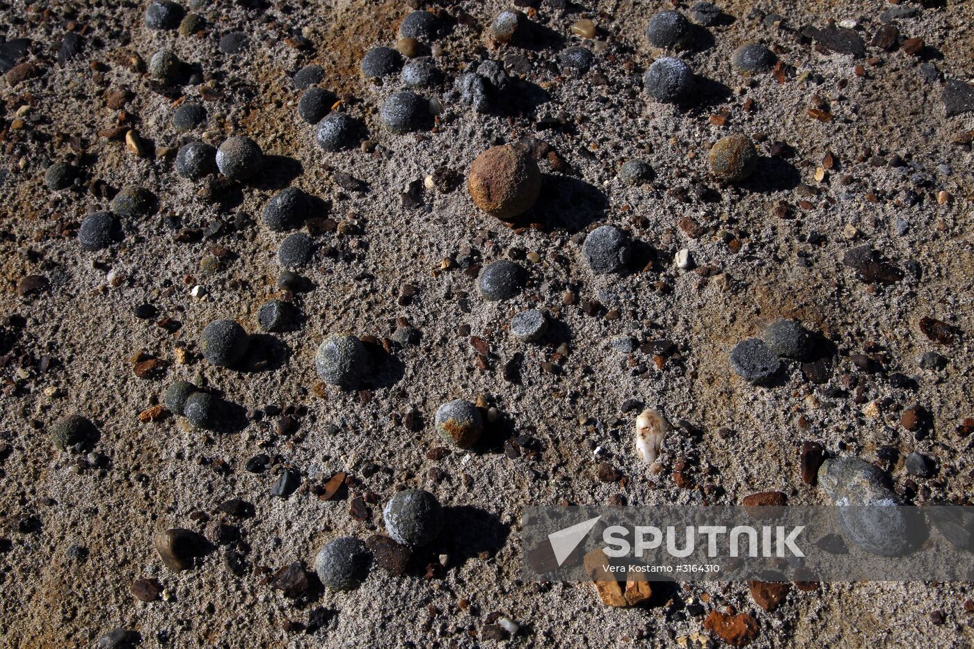 Russian Arctic National Park expedition