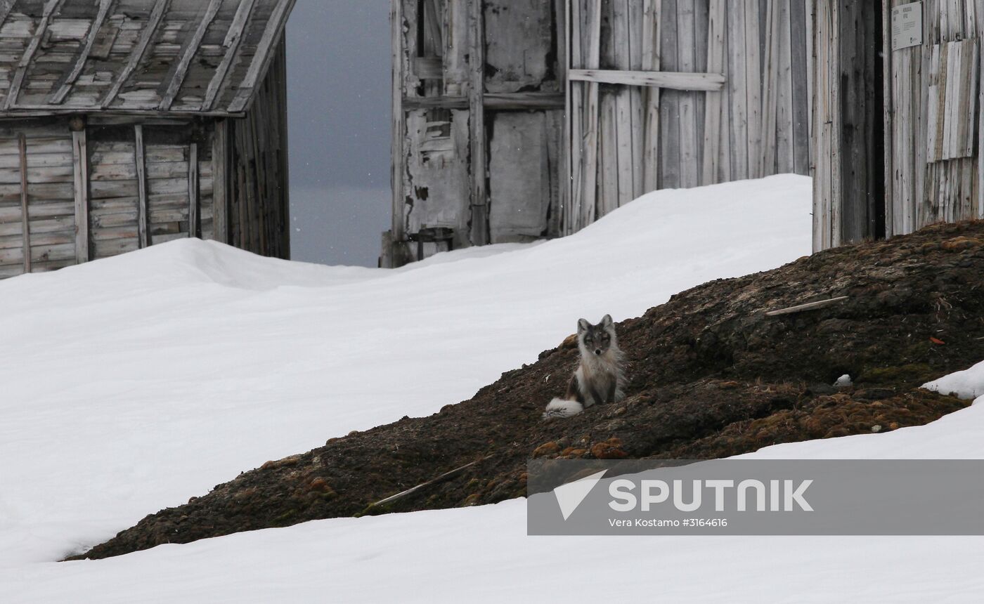 Russian Arctic National Park expedition