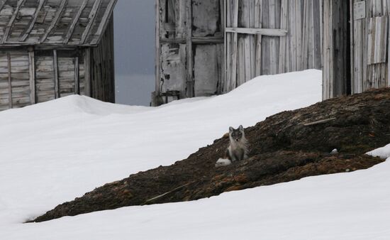 Russian Arctic National Park expedition