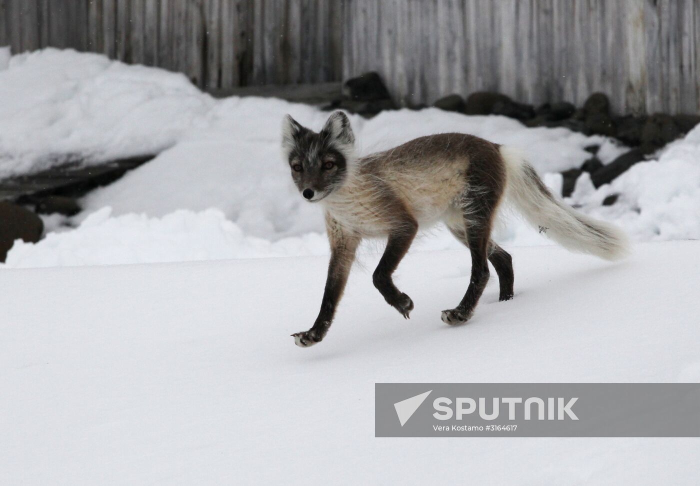 Russian Arctic National Park expedition