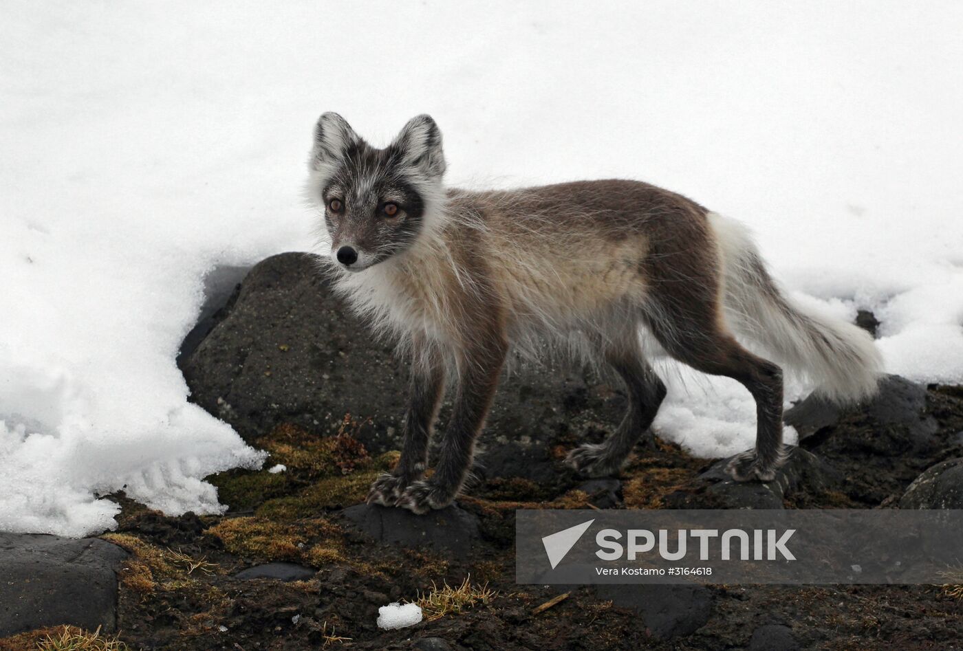 Russian Arctic National Park expedition