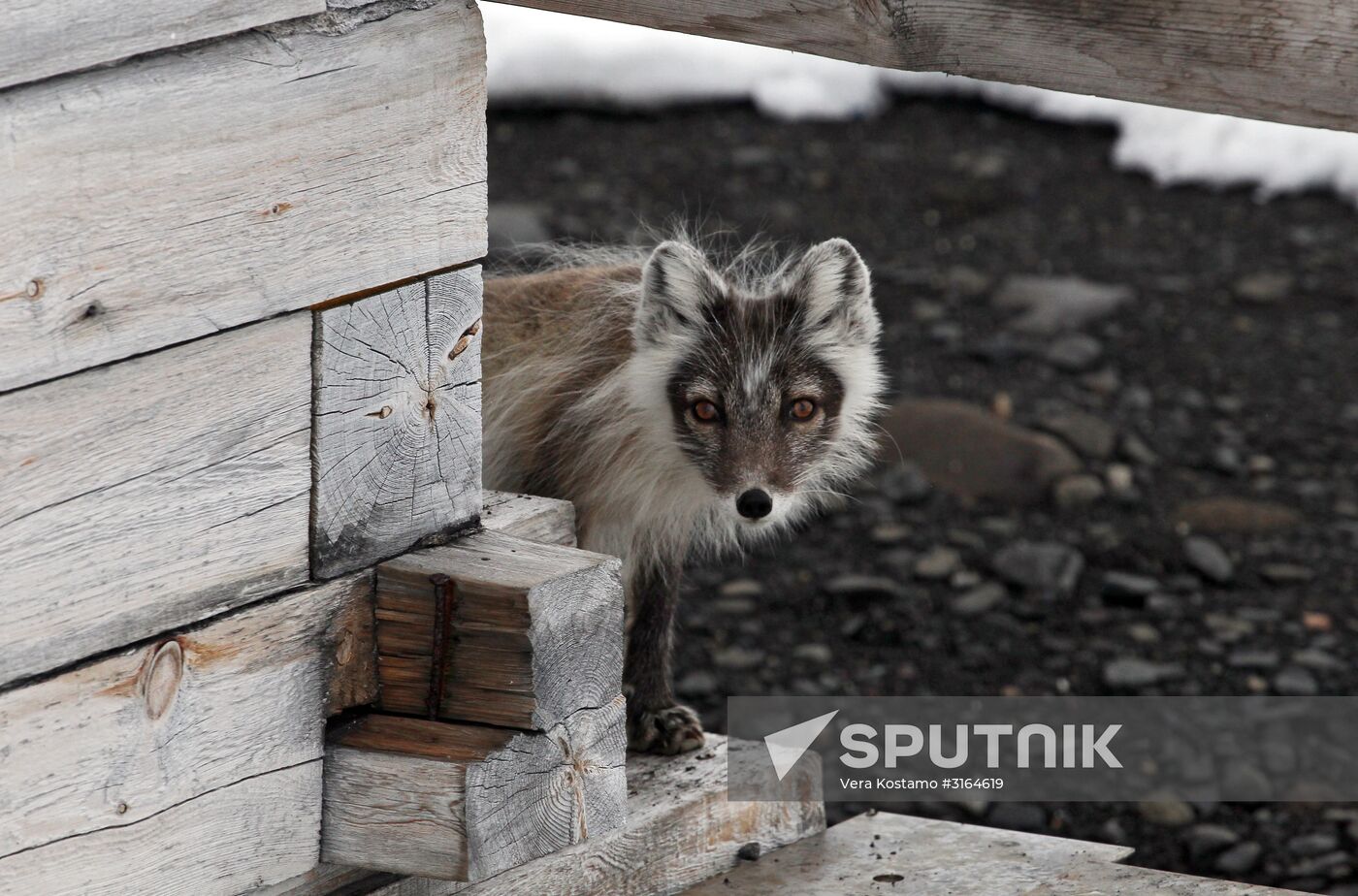 Russian Arctic National Park expedition