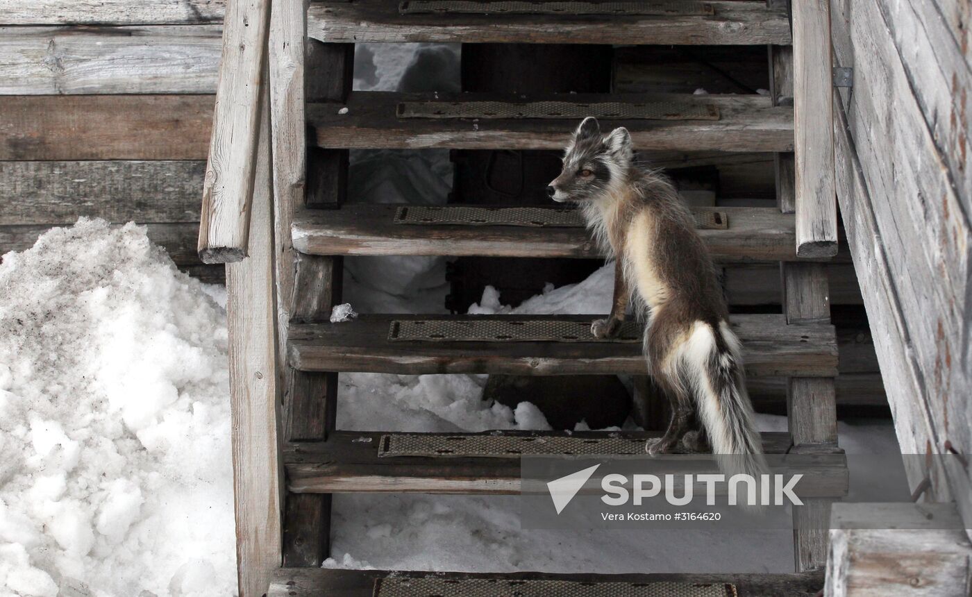 Russian Arctic National Park expedition