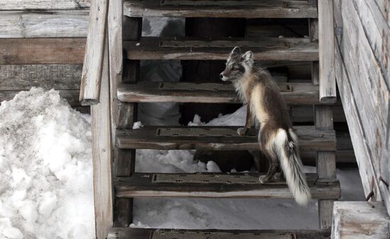 Russian Arctic National Park expedition