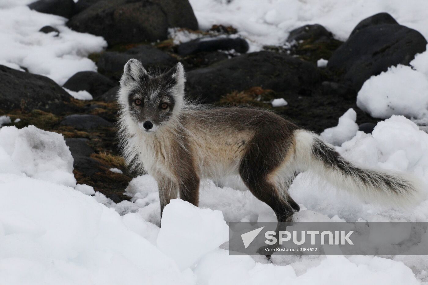 Russian Arctic National Park expedition