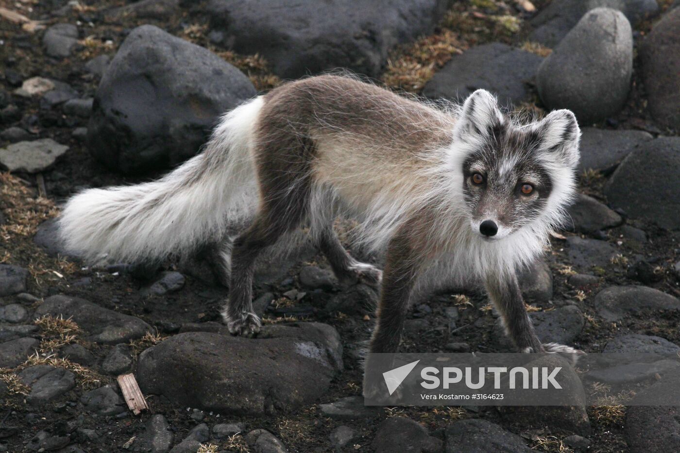 Russian Arctic National Park expedition