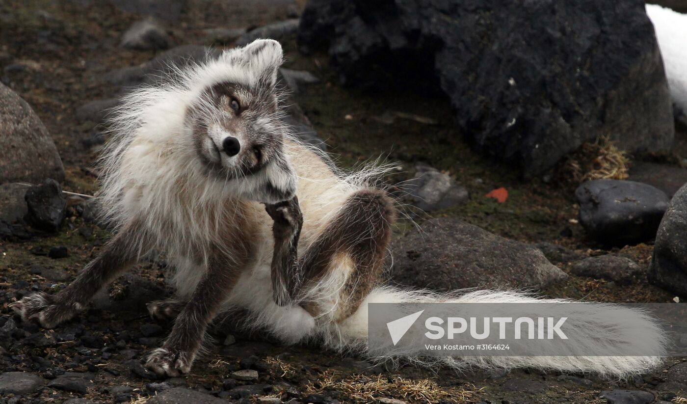 Russian Arctic National Park expedition