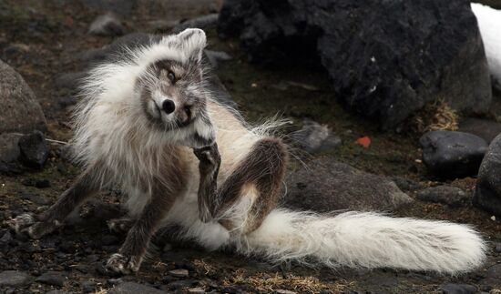 Russian Arctic National Park expedition