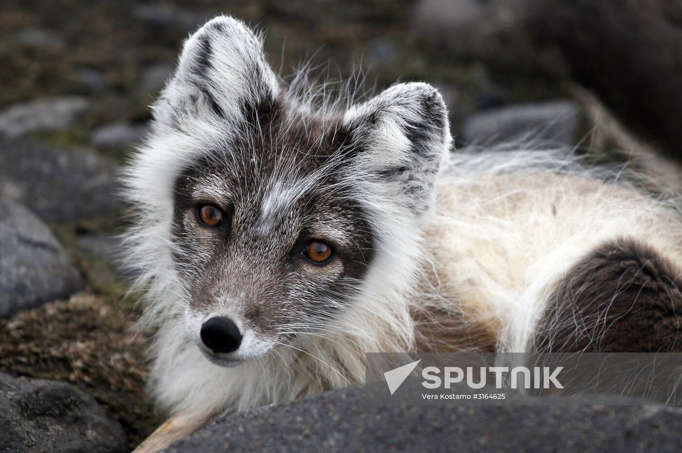 Russian Arctic National Park expedition