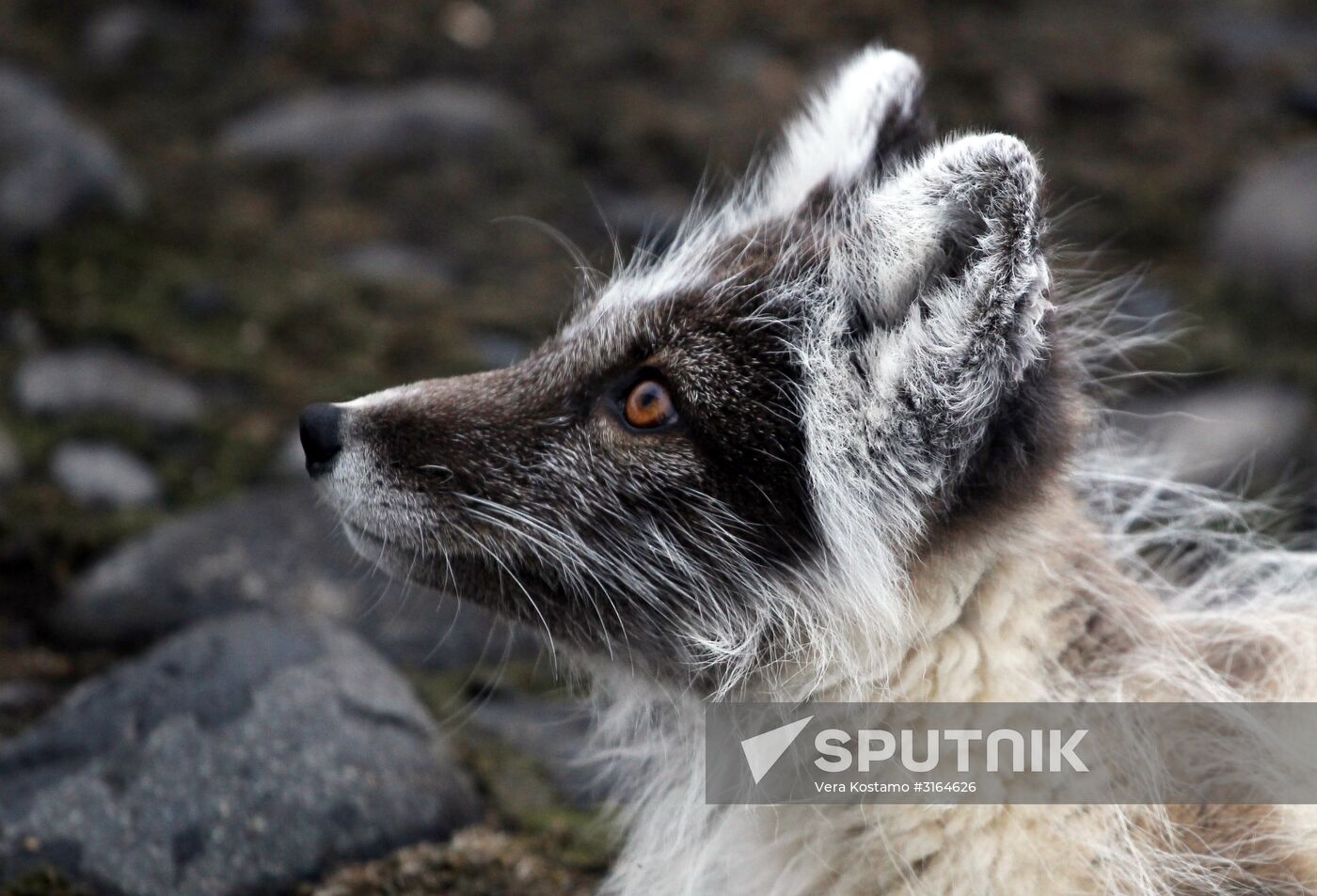 Russian Arctic National Park expedition