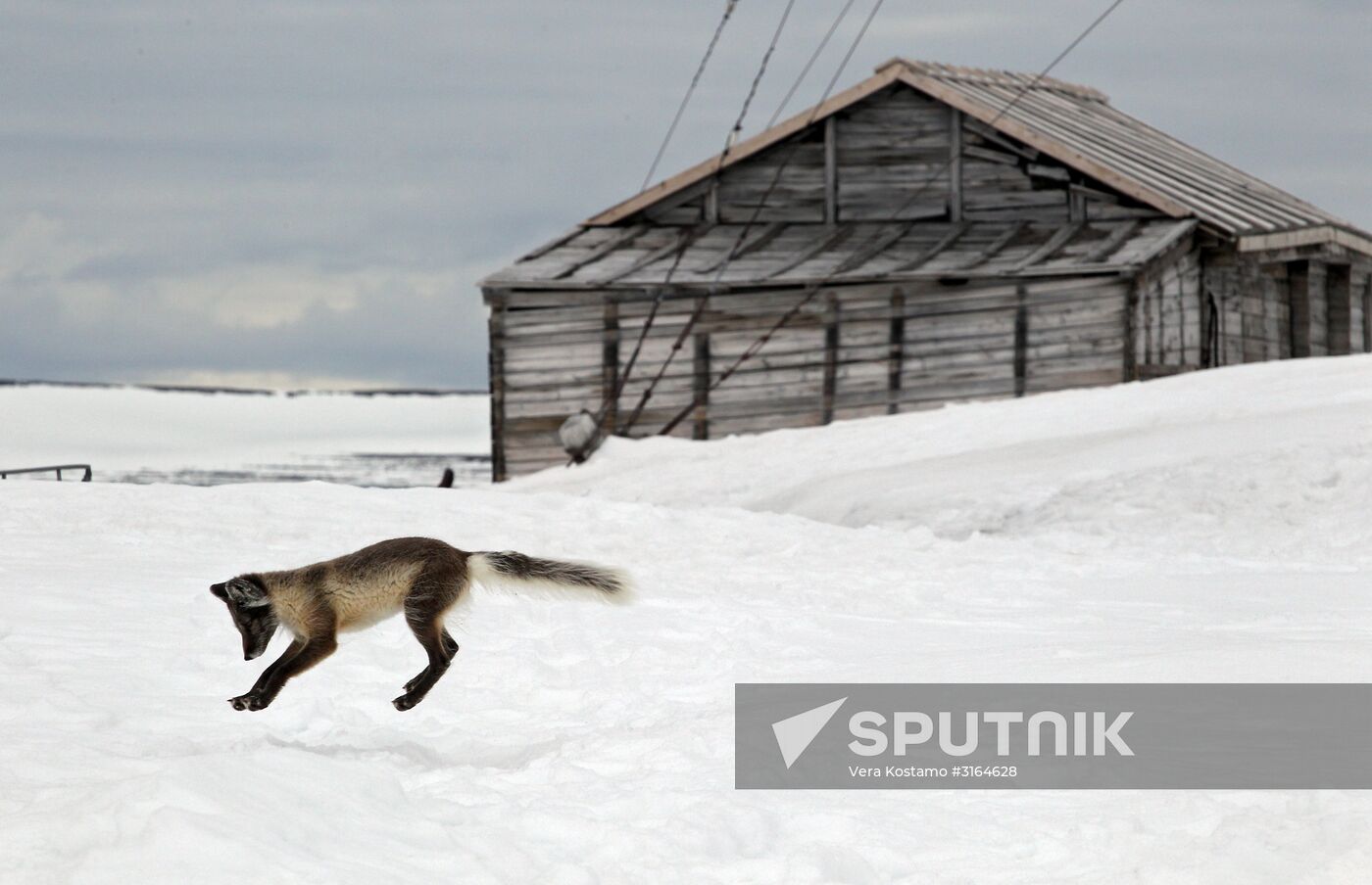 Russian Arctic National Park expedition