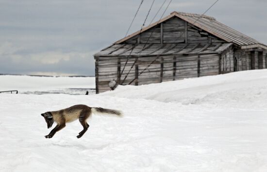 Russian Arctic National Park expedition