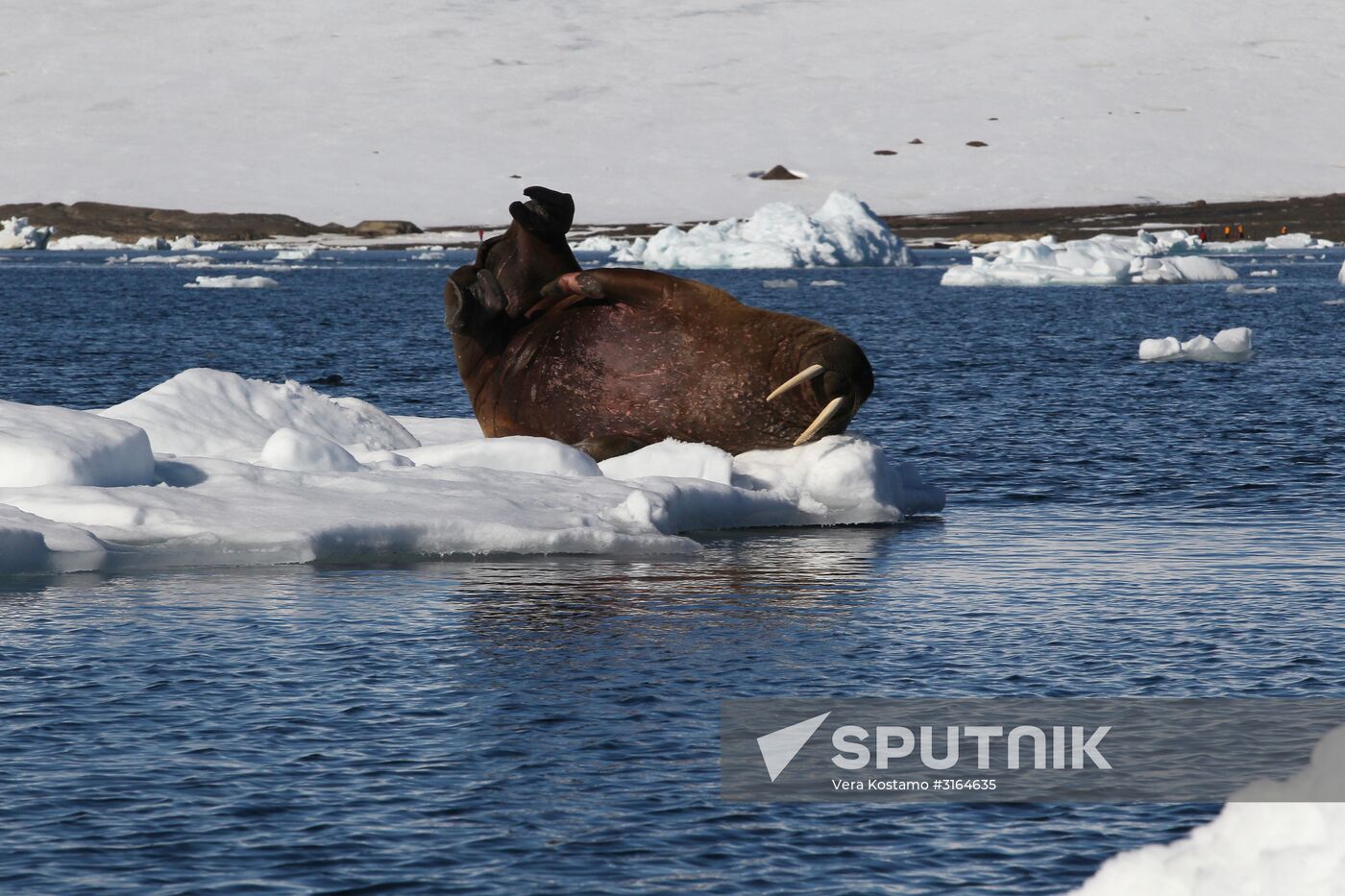 Russian Arctic National Park expedition
