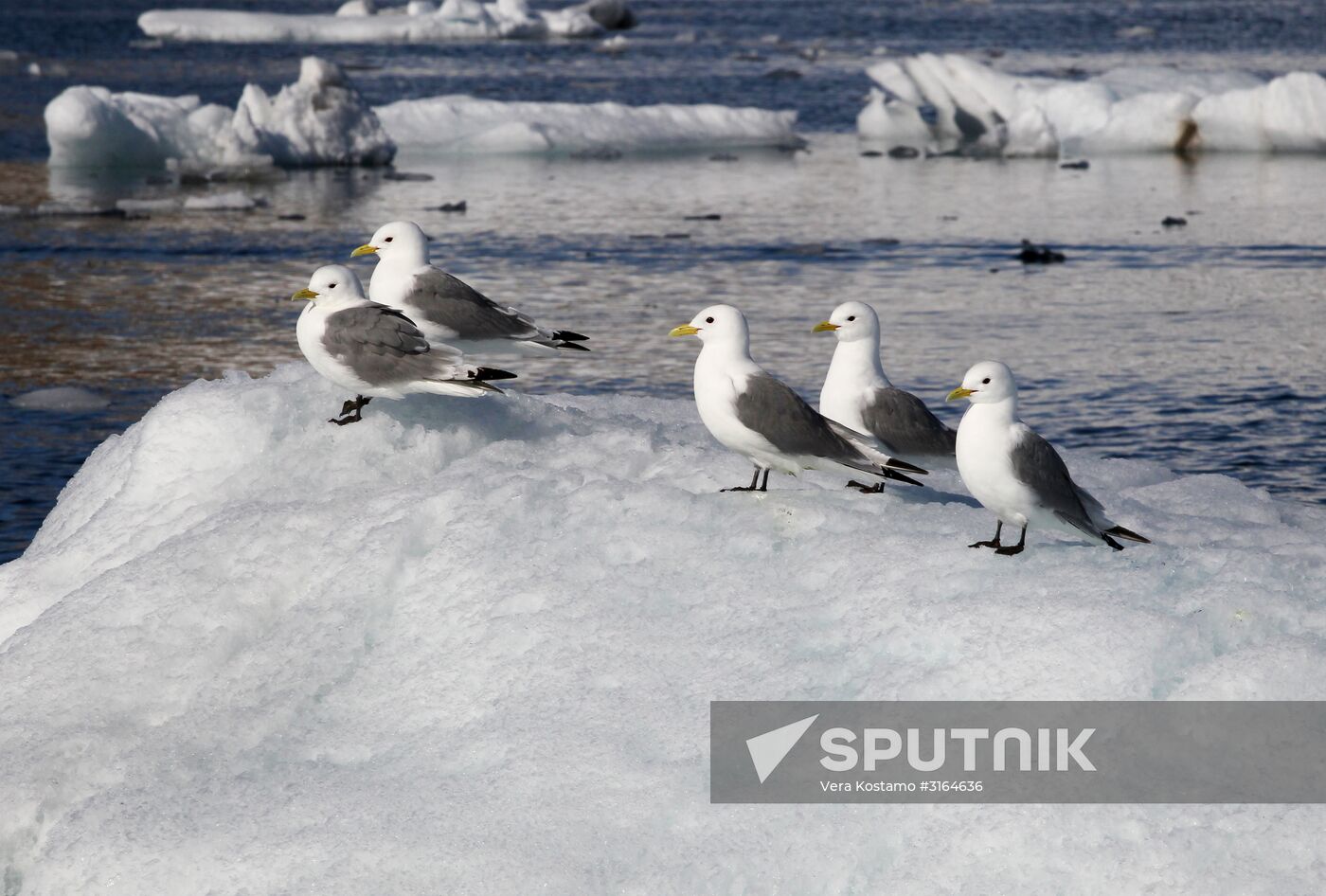 Russian Arctic National Park expedition
