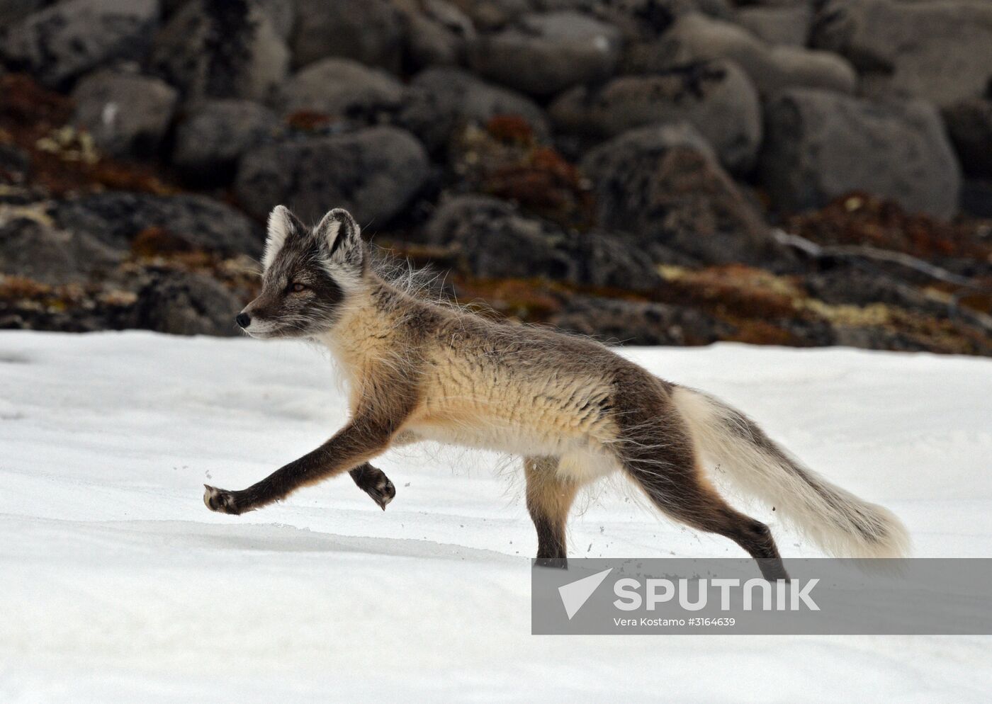 Russian Arctic National Park expedition