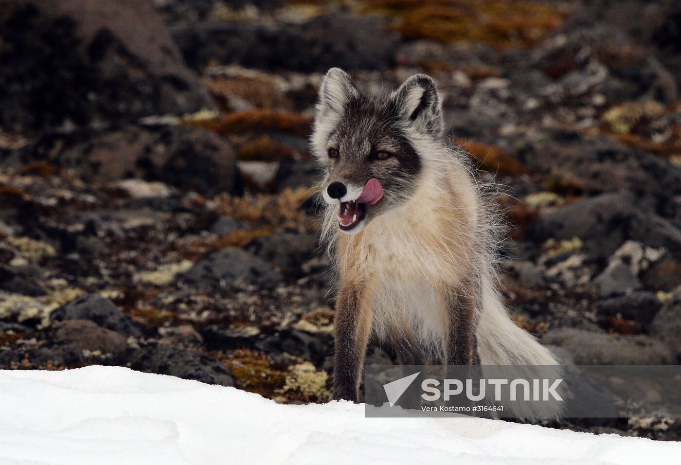 Russian Arctic National Park expedition