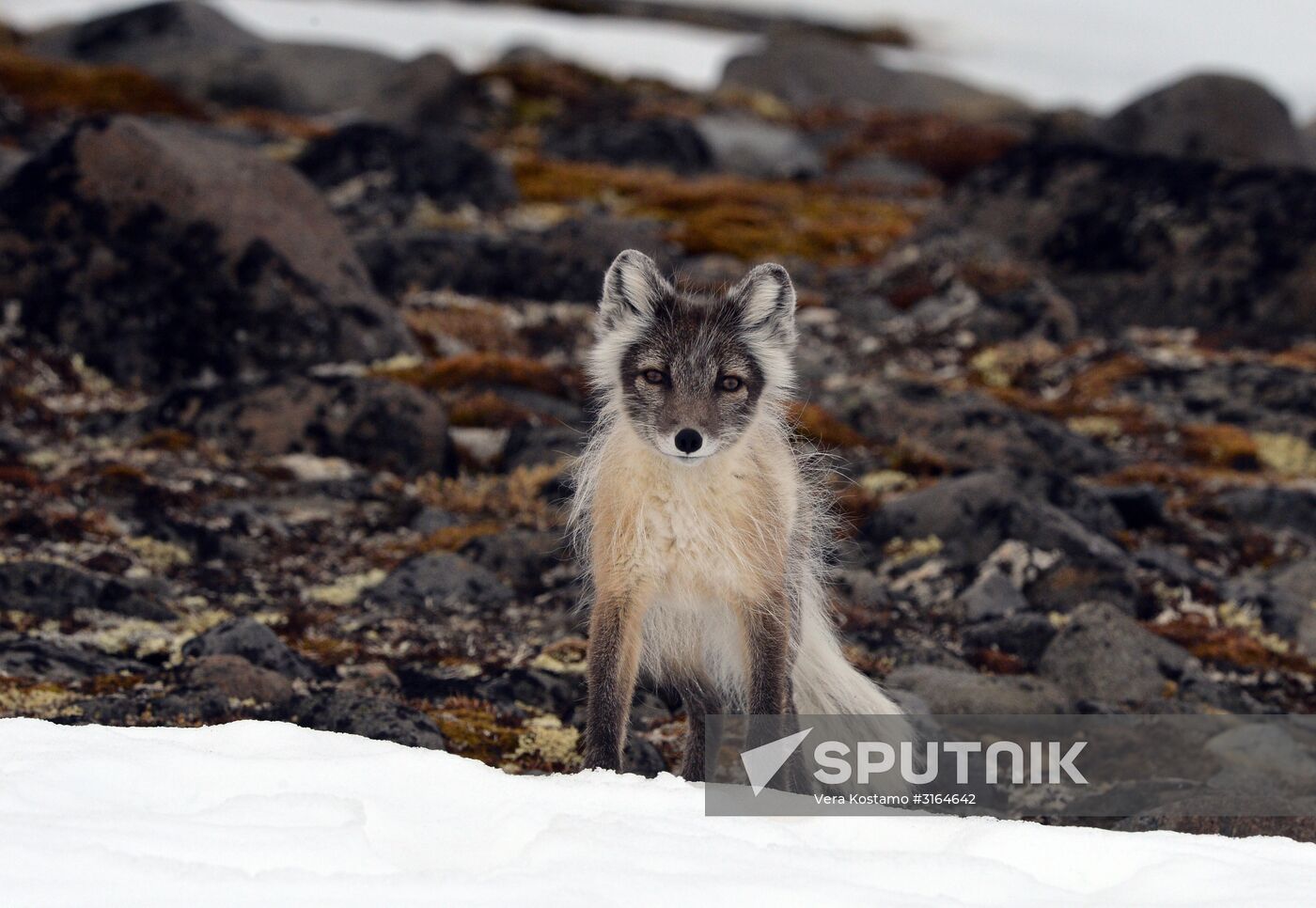 Russian Arctic National Park expedition