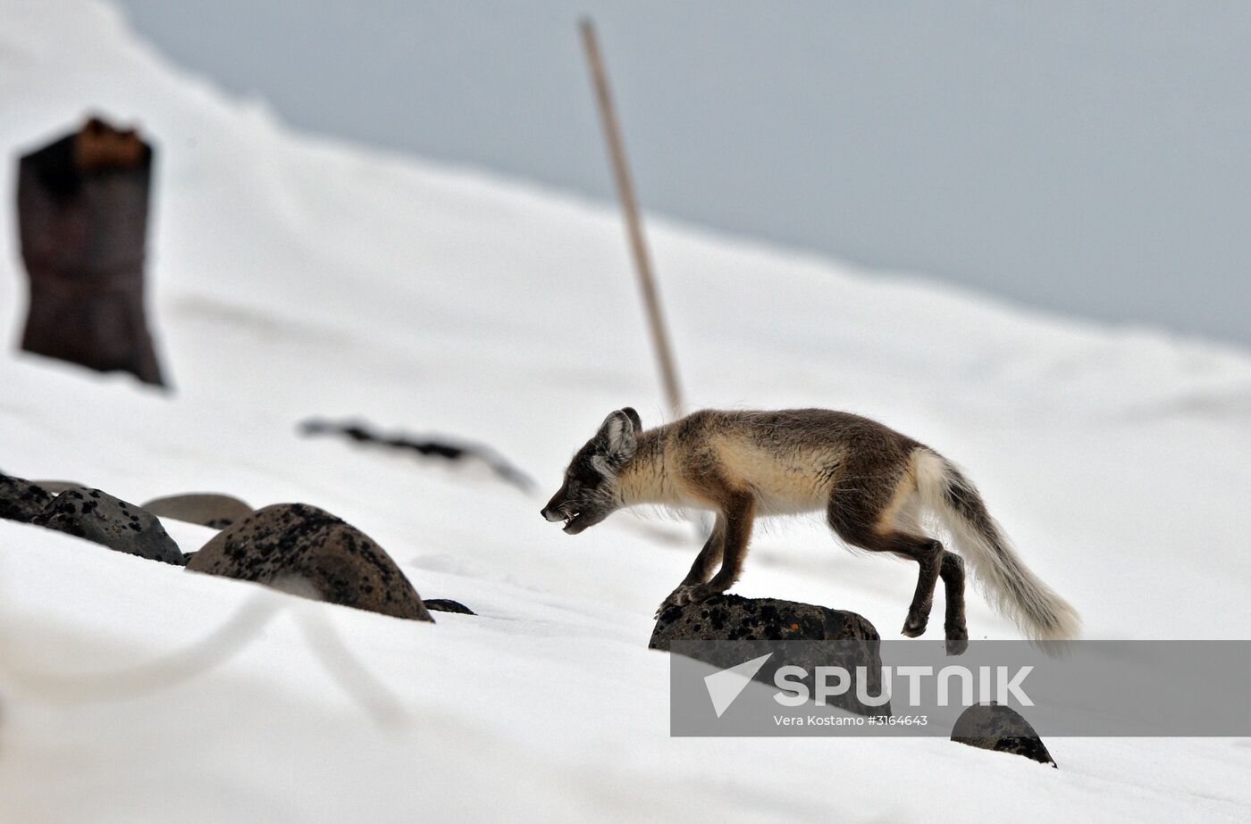 Russian Arctic National Park expedition