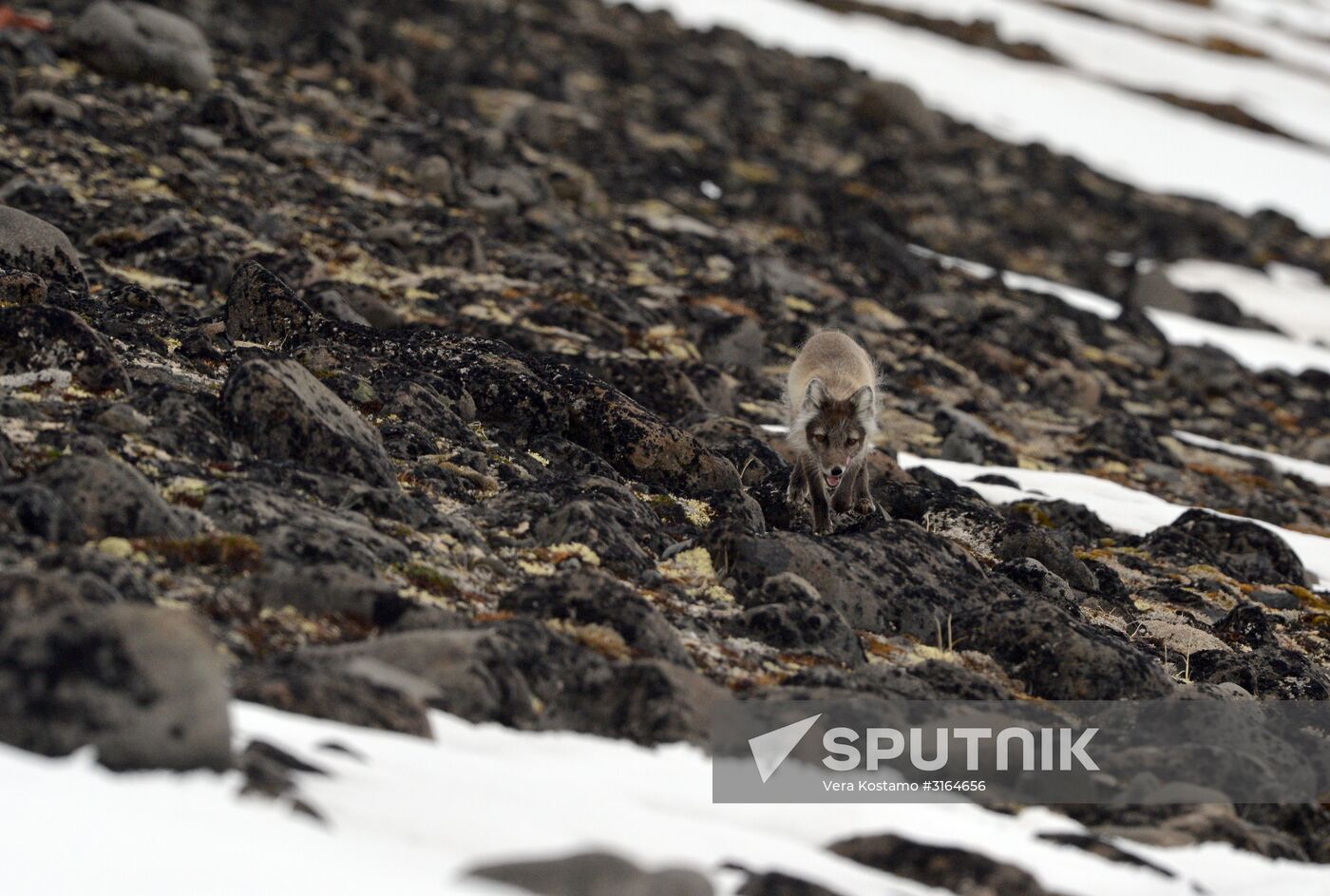 Russian Arctic National Park expedition