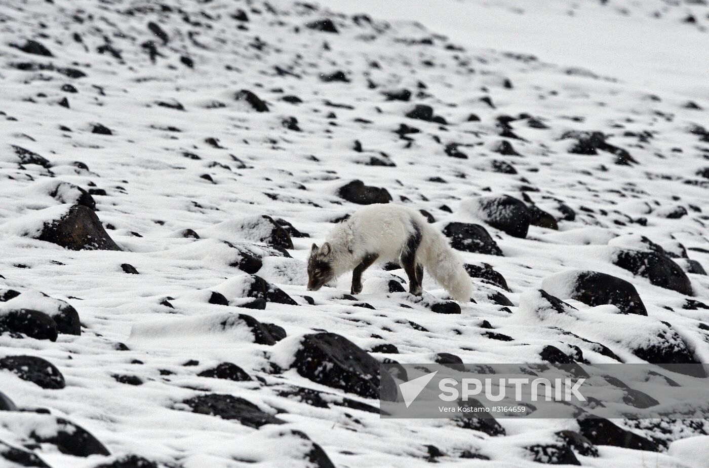 Russian Arctic National Park expedition