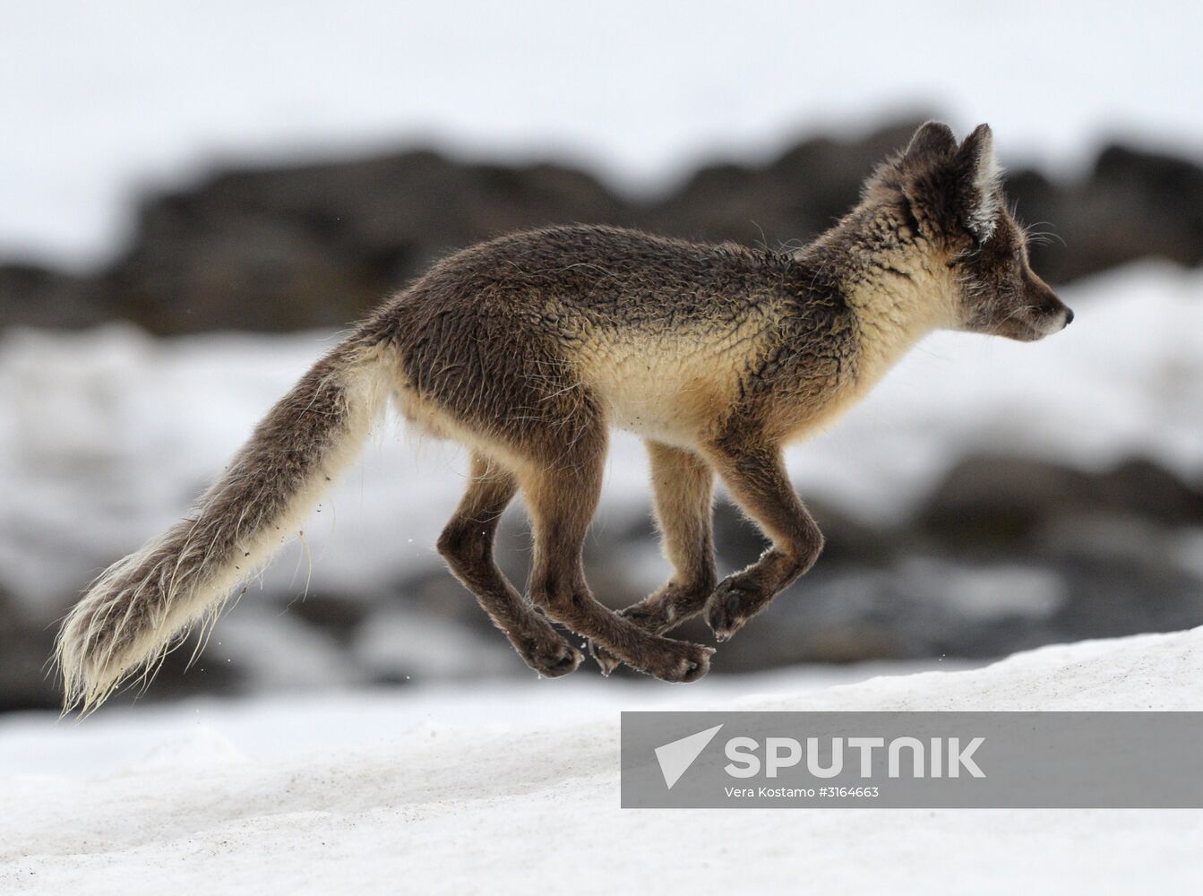 Russian Arctic National Park expedition