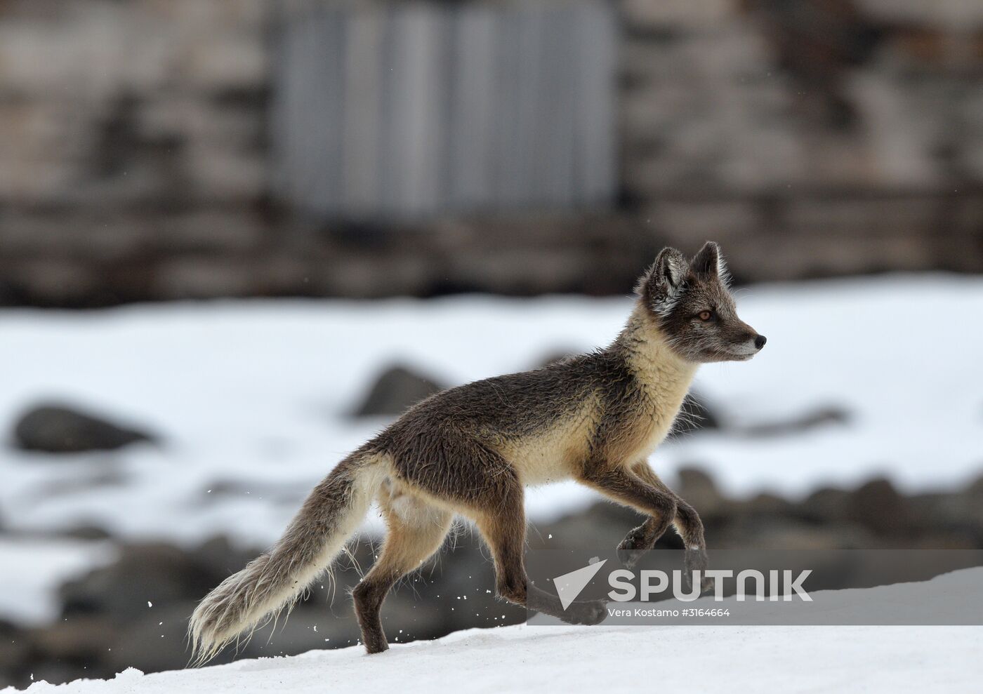 Russian Arctic National Park expedition