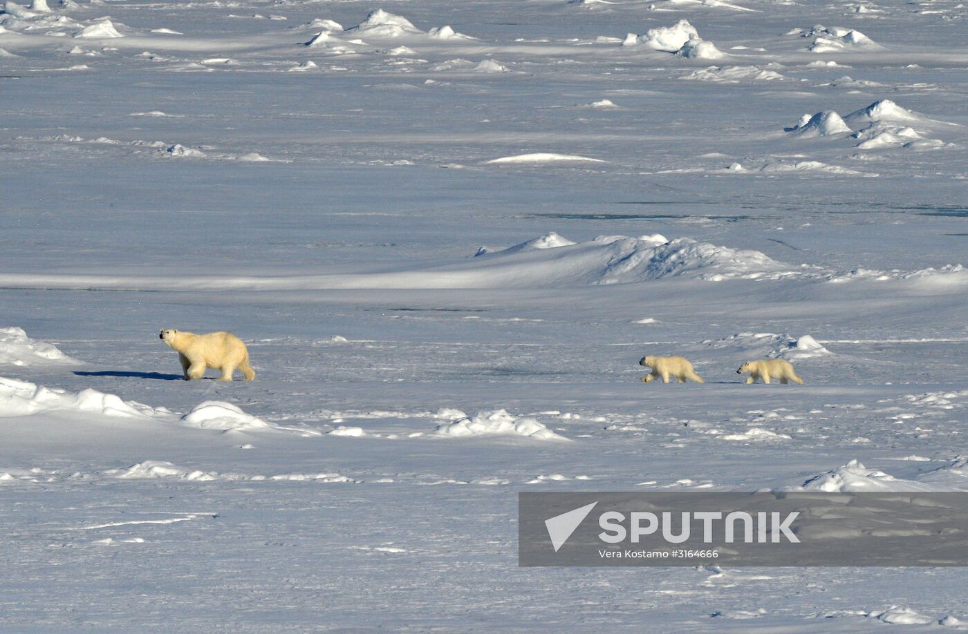 Russian Arctic National Park expedition