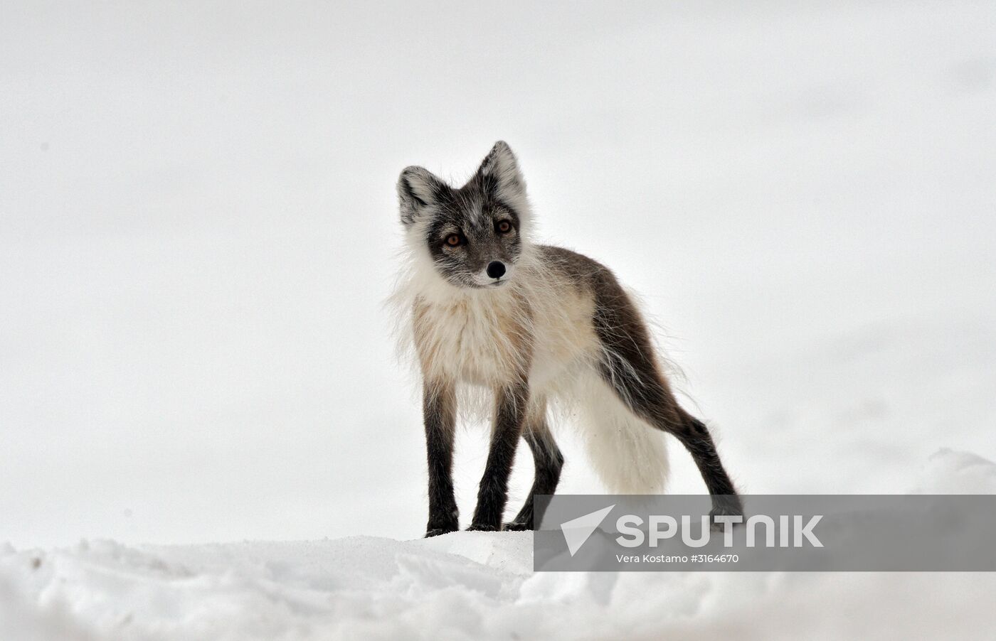 Russian Arctic National Park expedition