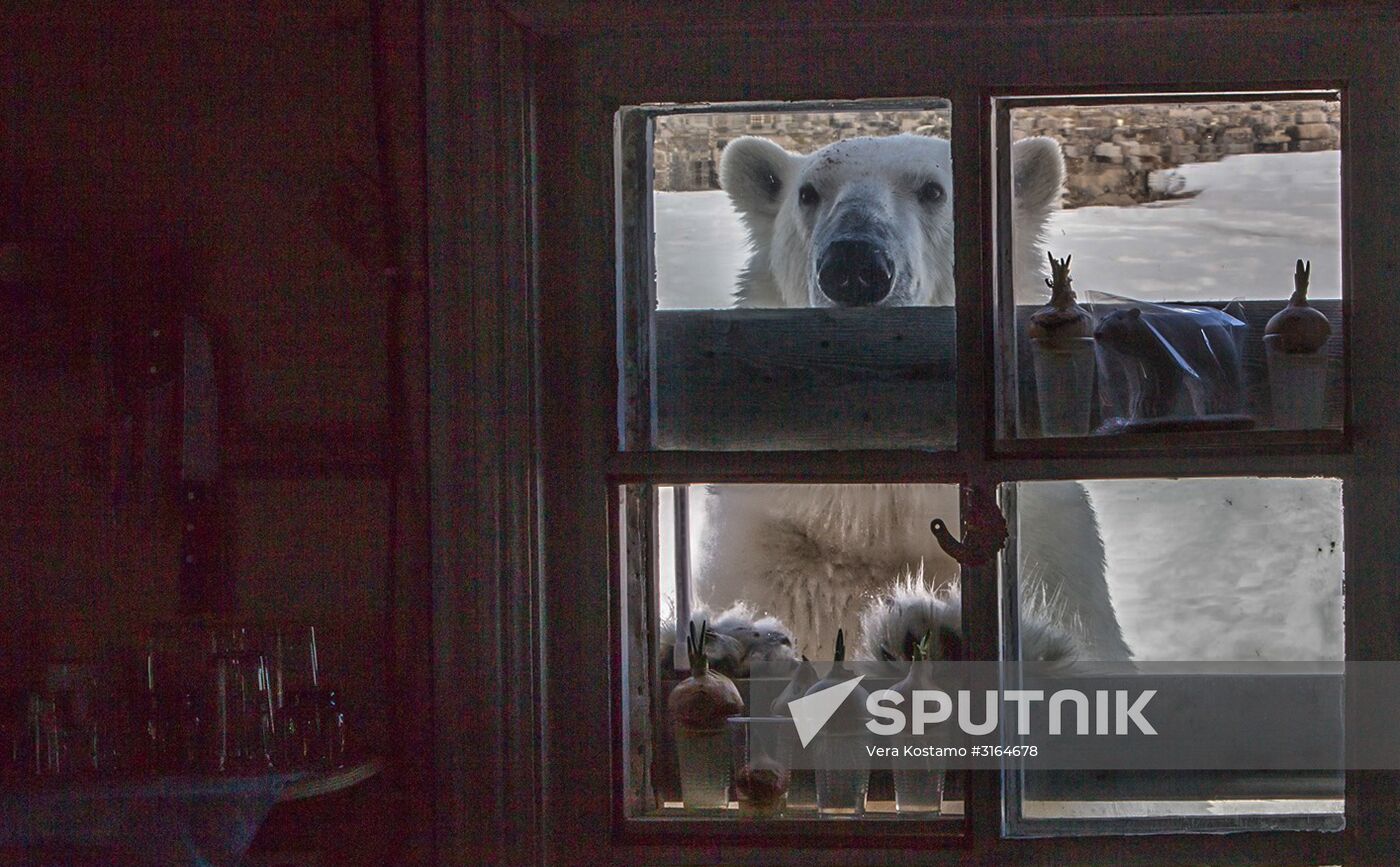 Russian Arctic National Park expedition