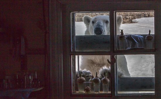 Russian Arctic National Park expedition
