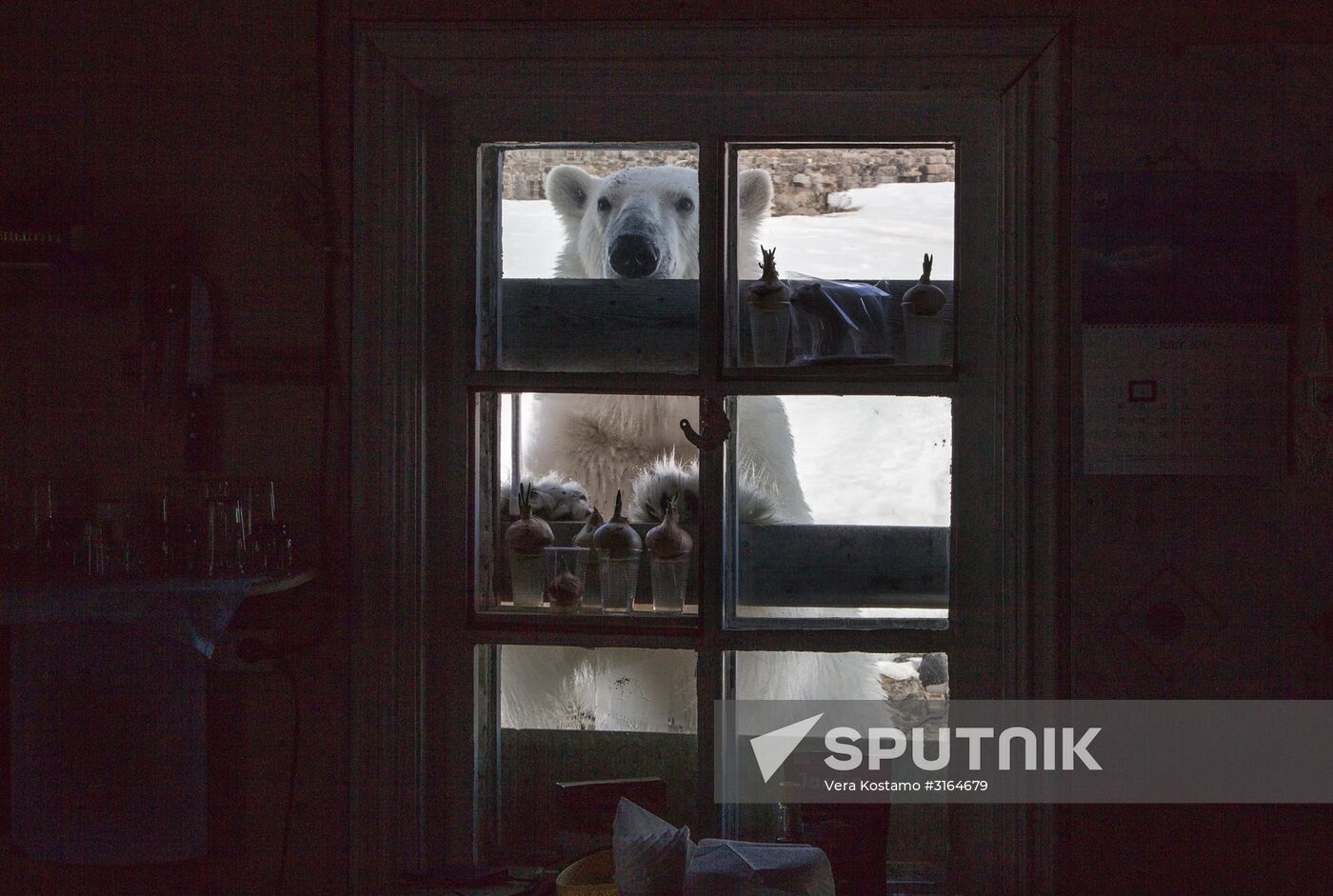 Expedition by Russian Arctic National Park